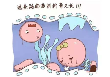 长线和短线赠卵试管婴儿方案的区别