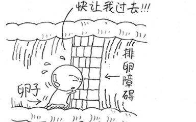 人工授精和供卵试管婴儿哪个更好？专家为您做一次性讲解