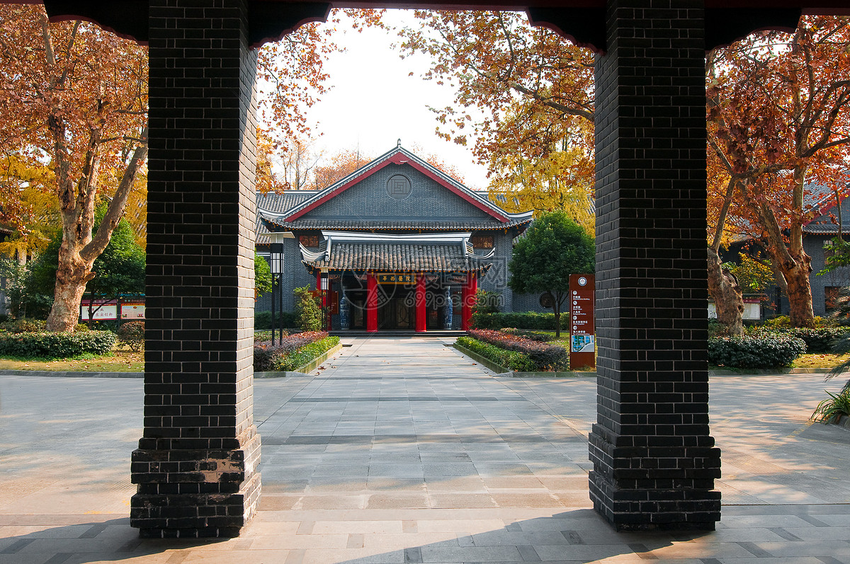 为什么借卵试管婴儿的胚胎需要一个囊？养囊的好处是什么？