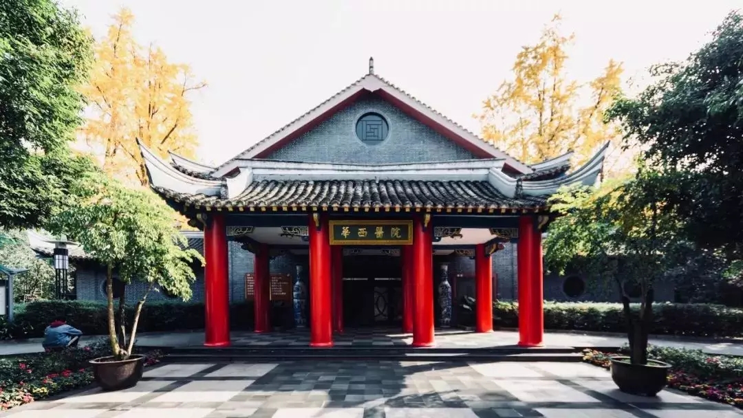 为什么做赠卵试管婴儿需要生长激素？