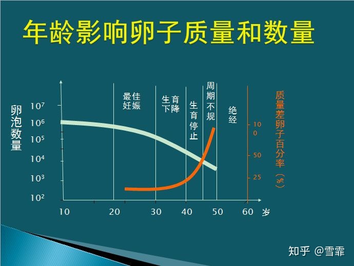 子宫检查对供卵试管婴儿的高成功率至关重要