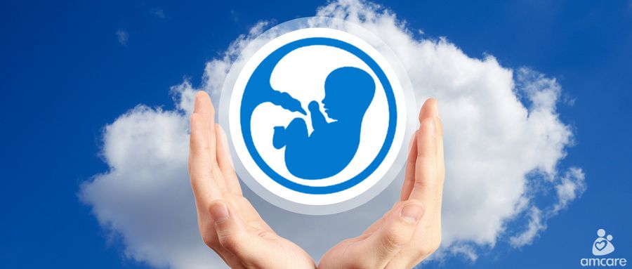 闽侯一产妇怀孕26周生下巴掌大的供卵做试管双胞胎(图)