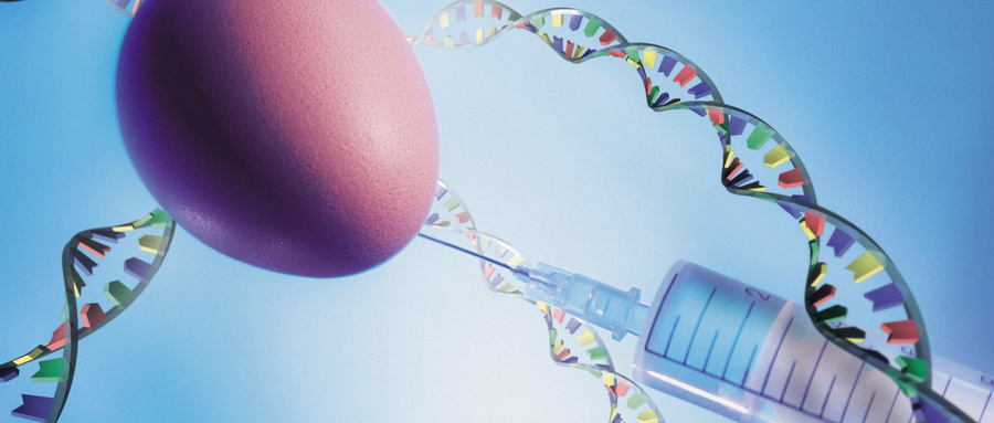 供卵生子代生试管的精子存活率为20%。