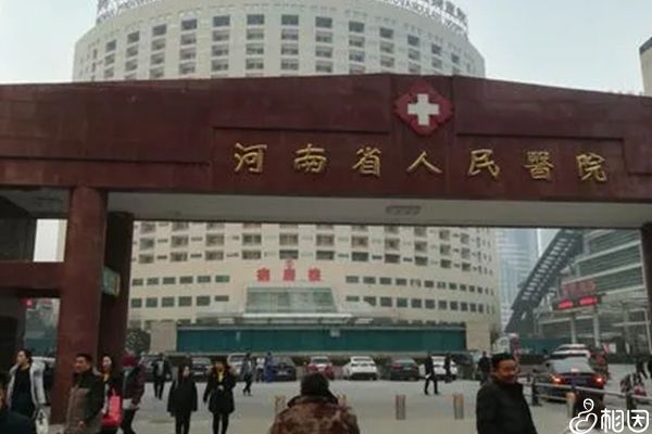 不孕不育做借卵三代代生试管的价格