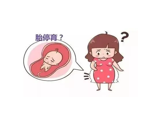 55岁做供卵试管婴儿成功案例