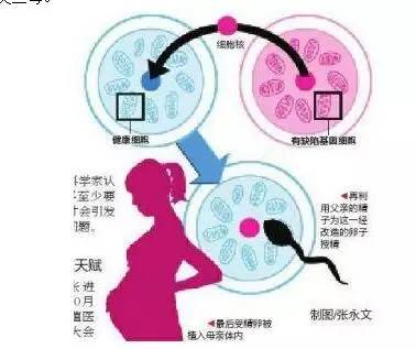 三代试管成功几率有多大