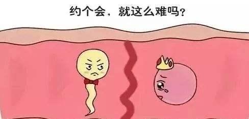 健康_黄体素助孕？真的有效吗？