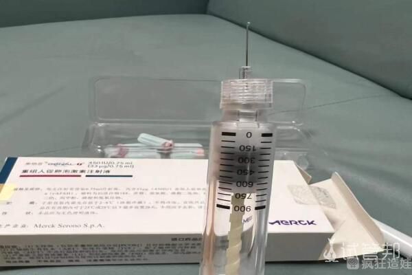 试管大约多少钱看哪些项目