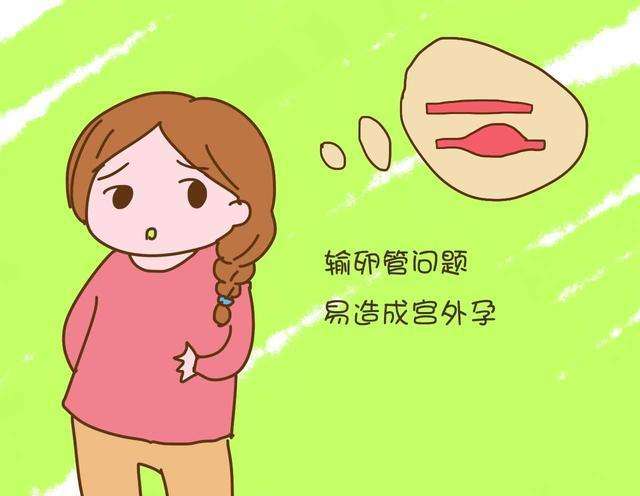 试管代怀包生男孩长短方案的区别有哪些呢