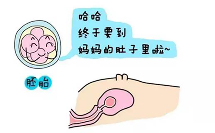 试管前期需要准备什么+代怀供卵医院婴儿需要多长时间