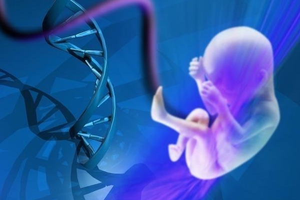 35岁高龄三代试管做男孩的价格成功率大概多少