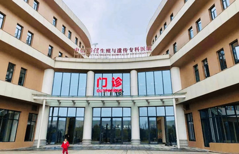 武汉不孕试管求子价格多少费用（武汉代怀包男孩价格多少费用报销）