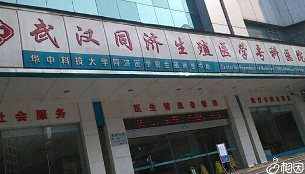 武汉哪个医院代怀生男孩成功率最高