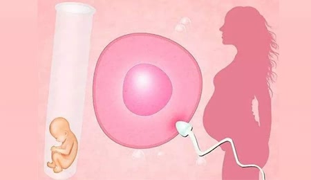 武汉精子库精子价格+武汉精子库申请